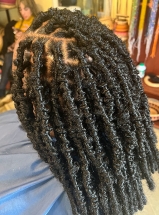 Single-Braids